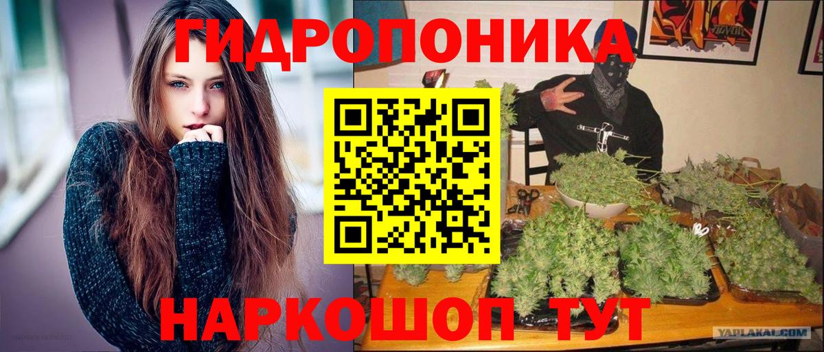 Шишки марихуана OG Kush  Вход с VPN  Троицк  Канабис VHQ  Канабис OG Kush 